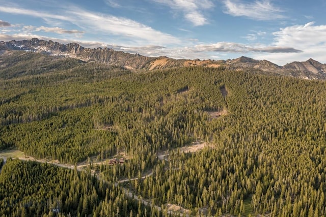 124 Ulerys Lakes Rd, Big Sky, MT 59716 - photo 21