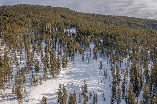 124 Ulerys Lakes Rd, Big Sky, MT 59716 - photo 22