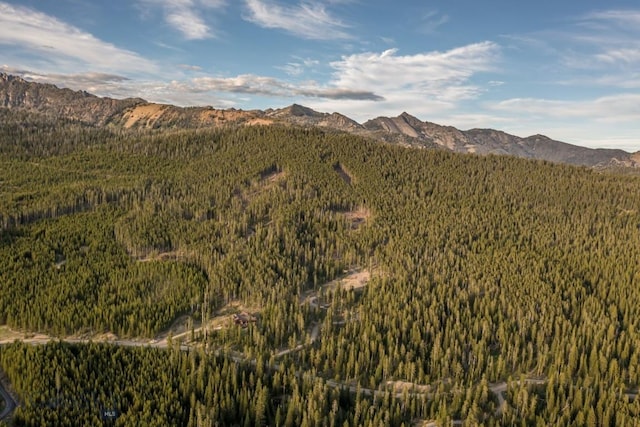 124 Ulerys Lakes Rd, Big Sky, MT 59716 - photo 23