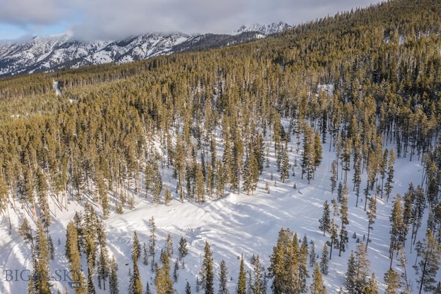 124 Ulerys Lakes Rd, Big Sky, MT 59716 - photo 24