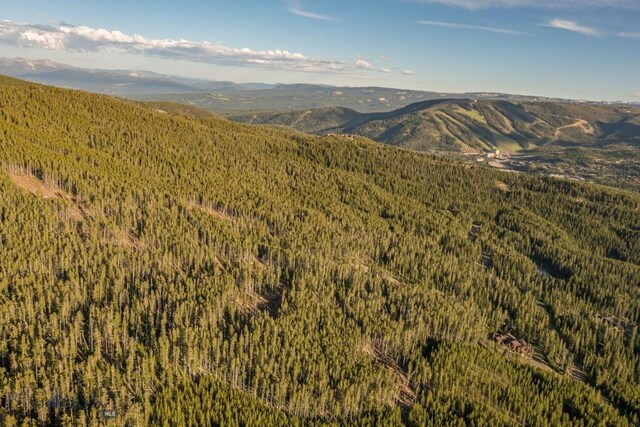 124 Ulerys Lakes Rd, Big Sky, MT 59716 - photo 25
