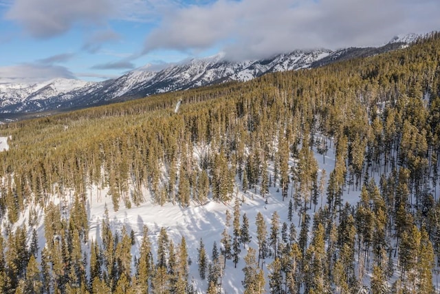 124 Ulerys Lakes Rd, Big Sky, MT 59716 - photo 26