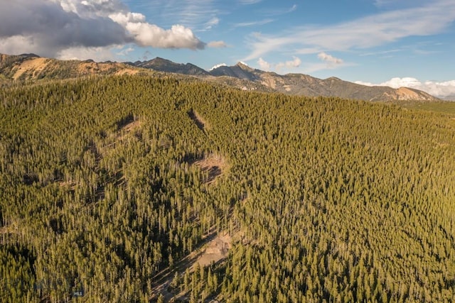 124 Ulerys Lakes Rd, Big Sky, MT 59716 - photo 27