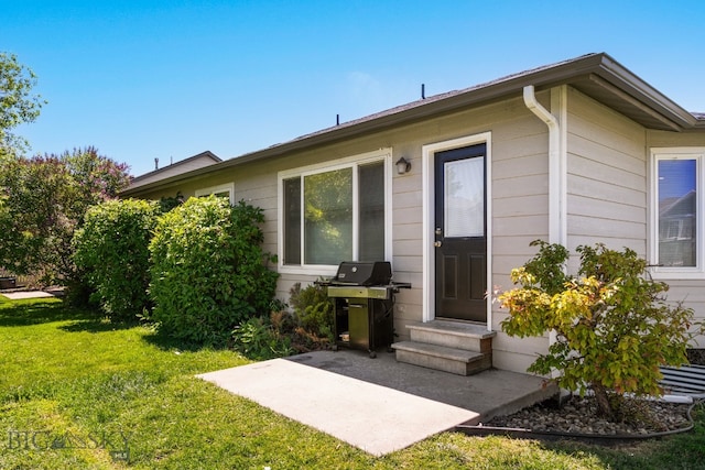 back of house featuring a yard