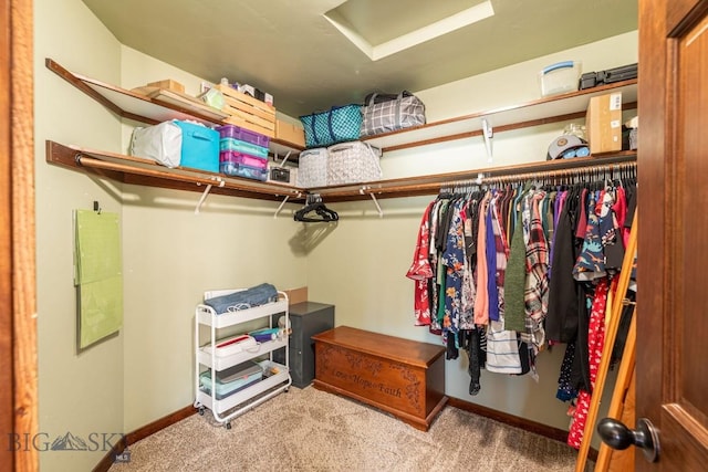 walk in closet with light colored carpet