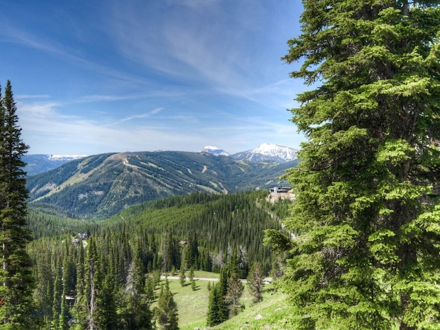 view of mountain feature