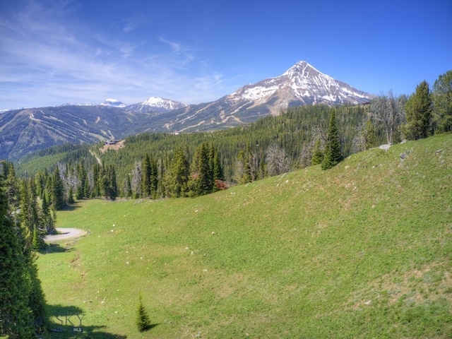 view of mountain feature