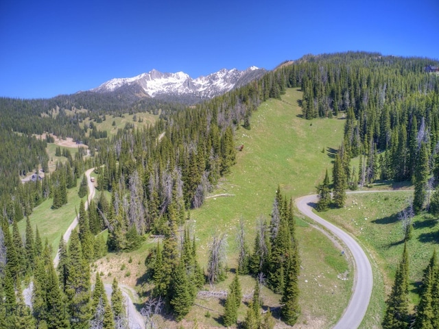 drone / aerial view with a mountain view