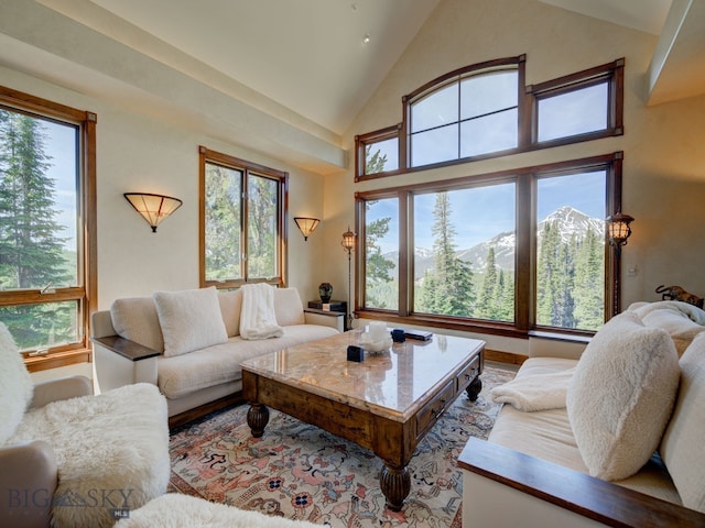 living room with a wealth of natural light and high vaulted ceiling