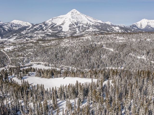 view of mountain feature