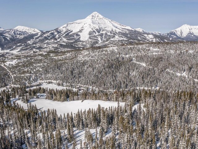 74 Upper Beehive Loop Rd, Big Sky, MT 59716 - photo 58