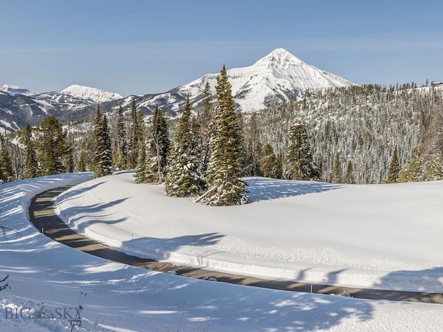 74 Upper Beehive Loop Rd, Big Sky, MT 59716 - photo 59