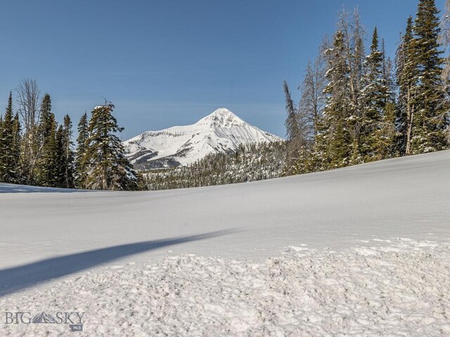 74 Upper Beehive Loop Rd, Big Sky, MT 59716 - photo 60