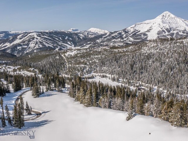 74 Upper Beehive Loop Rd, Big Sky, MT 59716 - photo 62