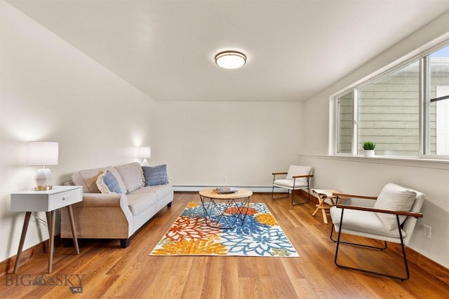 living room with wood-type flooring and plenty of natural light