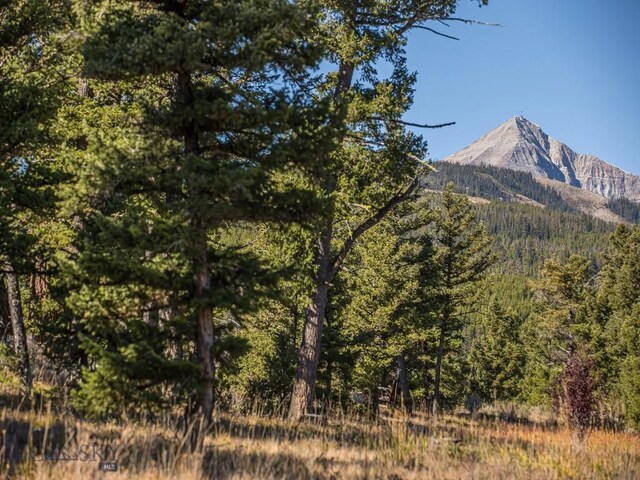 741 Antler Ridge Rd, Big Sky MT, 59716 land for sale