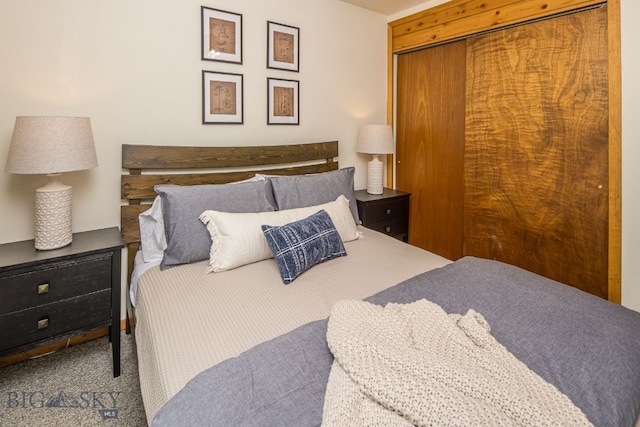 bedroom featuring a closet and carpet