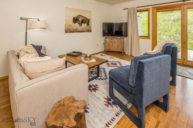 living room featuring light hardwood / wood-style flooring