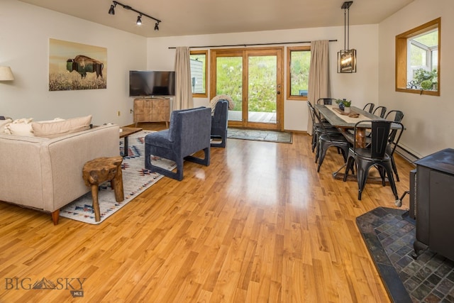 living room featuring rail lighting and light wood-type flooring