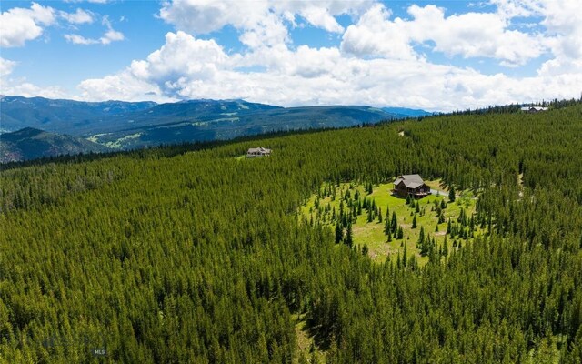 165 Trophy Bull Dr, Big Sky, MT 59730 - photo 25