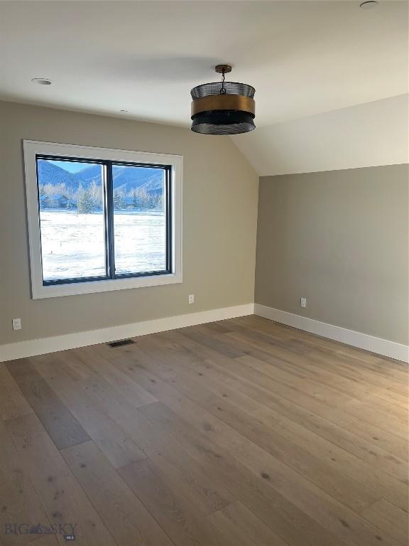 interior space featuring lofted ceiling and wood-type flooring