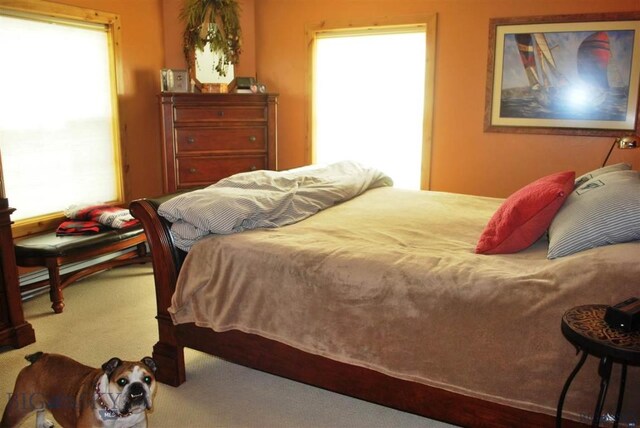 carpeted bedroom with multiple windows