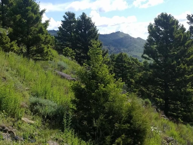 LOT4 Sunflower Ln, Livingston, MT 59047 - photo 2