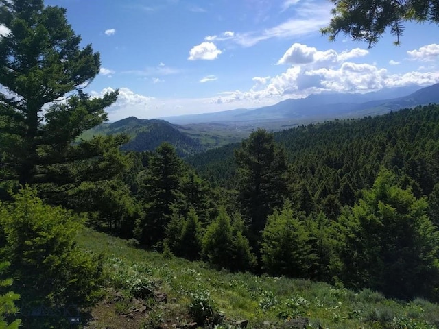 LOT4 Sunflower Ln, Livingston, MT 59047 - photo 4