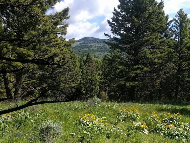 LOT4 Sunflower Ln, Livingston MT, 59047 land for sale