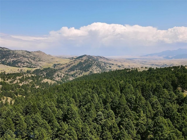 LOT4 Sunflower Ln, Livingston, MT 59047 - photo 11