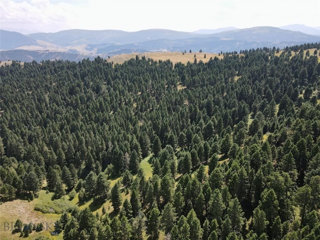 LOT4 Sunflower Ln, Livingston, MT 59047 - photo 13
