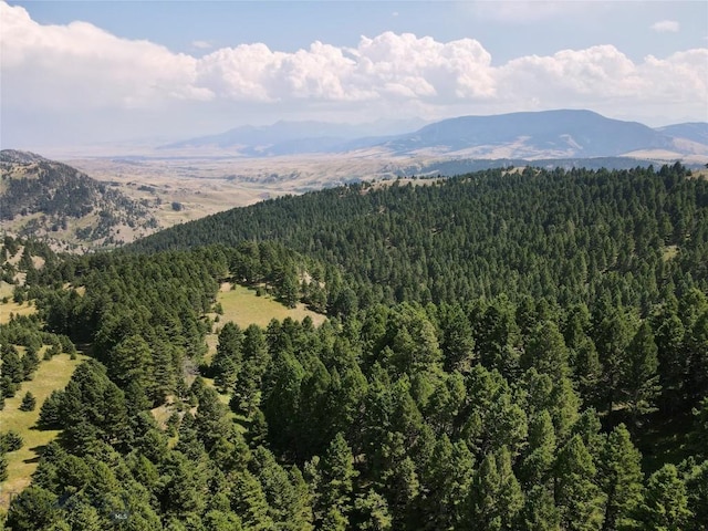 LOT4 Sunflower Ln, Livingston, MT 59047 - photo 19