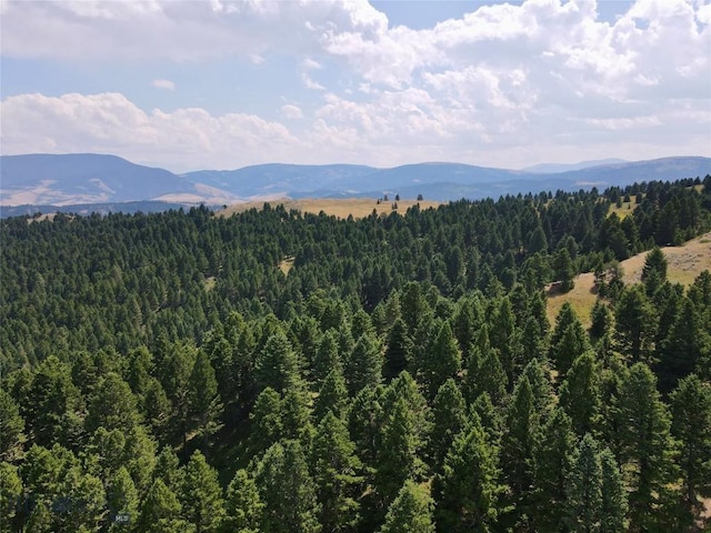 LOT4 Sunflower Ln, Livingston, MT 59047 - photo 21