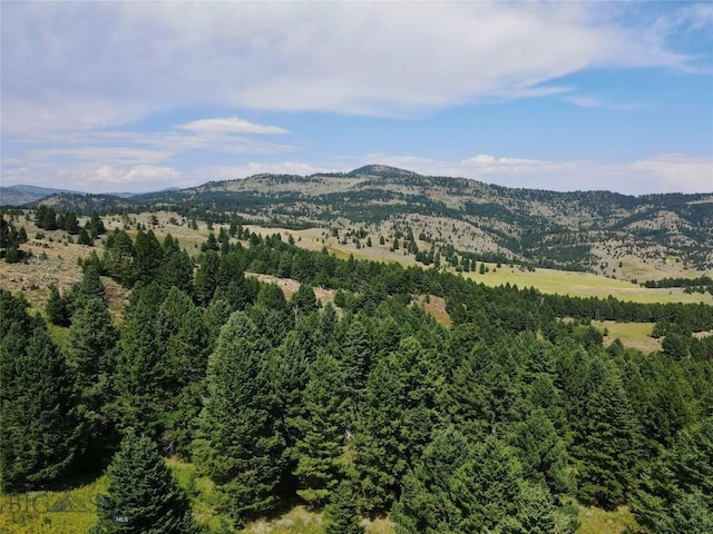 LOT4 Sunflower Ln, Livingston, MT 59047 - photo 24