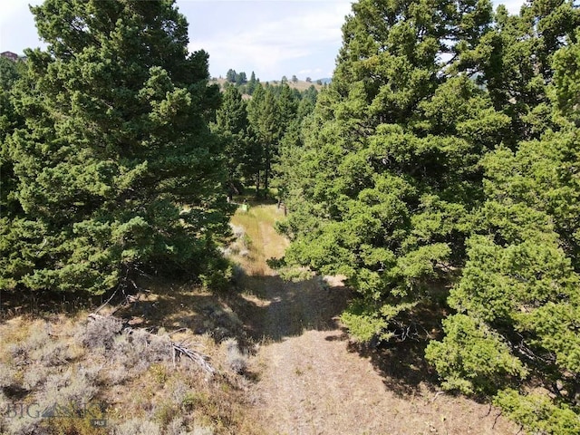 LOT4 Sunflower Ln, Livingston, MT 59047 - photo 25