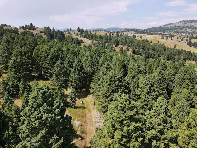 LOT4 Sunflower Ln, Livingston, MT 59047 - photo 26