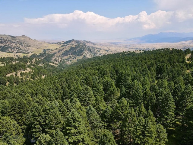 LOT4 Sunflower Ln, Livingston, MT 59047 - photo 30