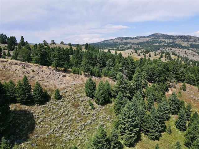 LOT4 Sunflower Ln, Livingston, MT 59047 - photo 31