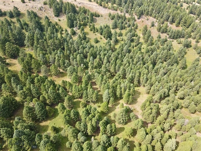 LOT4 Sunflower Ln, Livingston, MT 59047 - photo 36