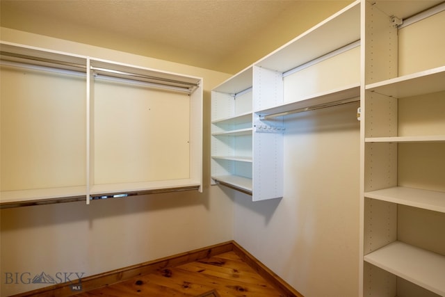 walk in closet featuring hardwood / wood-style flooring