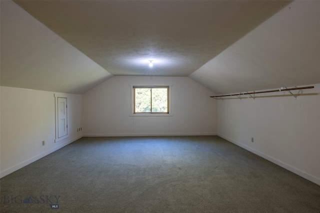 additional living space featuring lofted ceiling and carpet