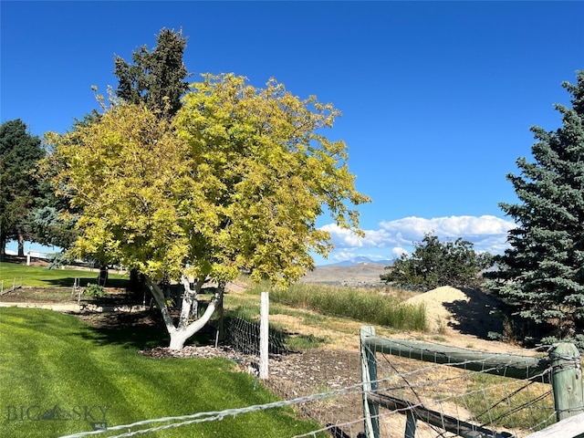 view of yard featuring a mountain view and a rural view