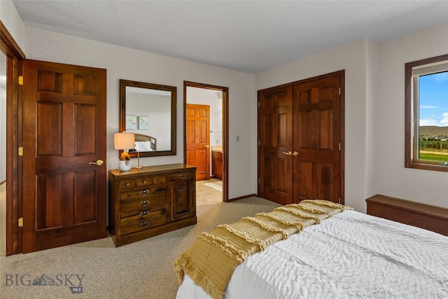 bedroom with light carpet, a closet, and connected bathroom