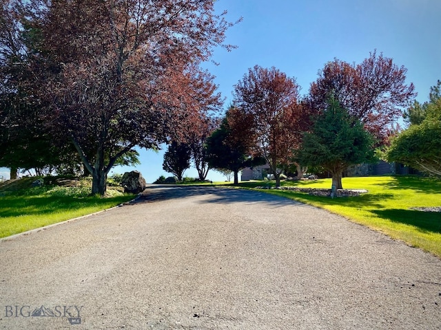 view of street