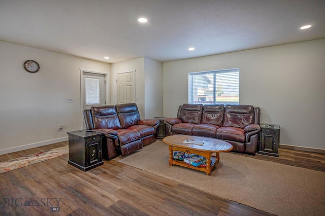 living room with hardwood / wood-style flooring