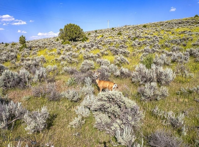 TBD Cottonwood Bench Rd, Clyde Park, MT 59018