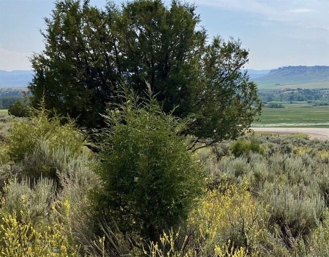 TBD Cottonwood Bench Rd, Clyde Park, MT 59018