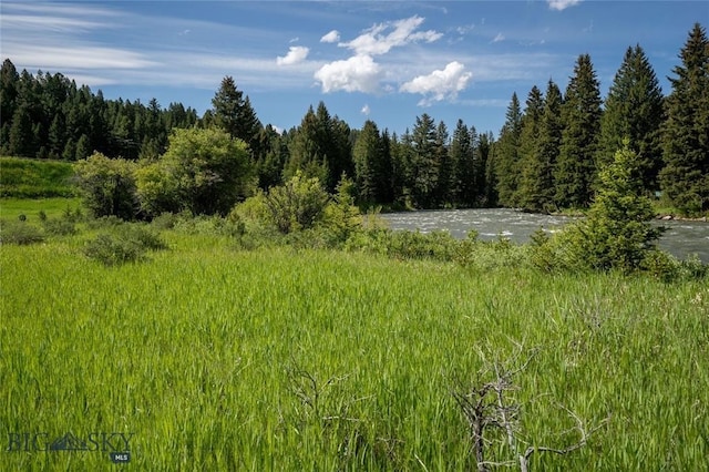 view of local wilderness with a water view