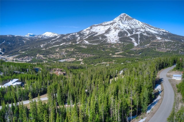 105A Beehive Basin Rd, Big Sky, MT 59730