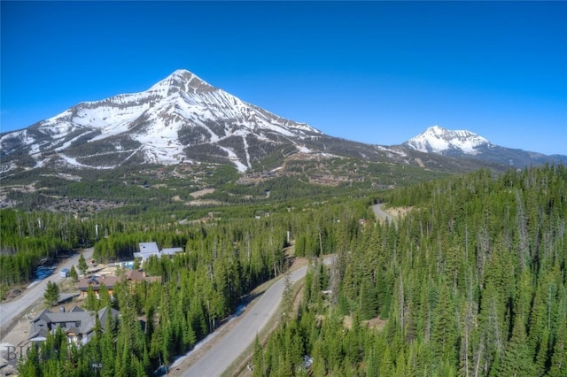 105A Beehive Basin Rd, Big Sky, MT 59730